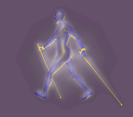 Afficher l'image d'origine