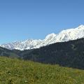 Img 4477