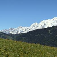Img 4478